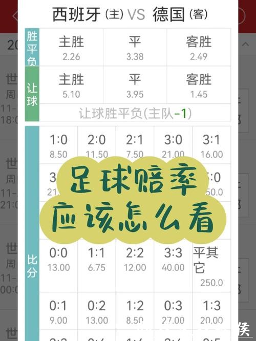 世界杯投注官网:热门冠军赔率参考指南 世界杯投注官网:热门冠军赔率参考指南
